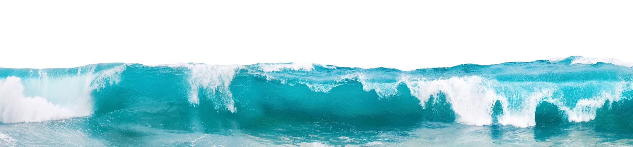 Hábitat Olas — BIOW
